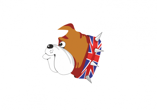 British bulldog 2023. Британский бульдог олимпиада. Британский бульдог 2022. Британский бульдог 2021-2022. Британский бульдог олимпиада 2020.